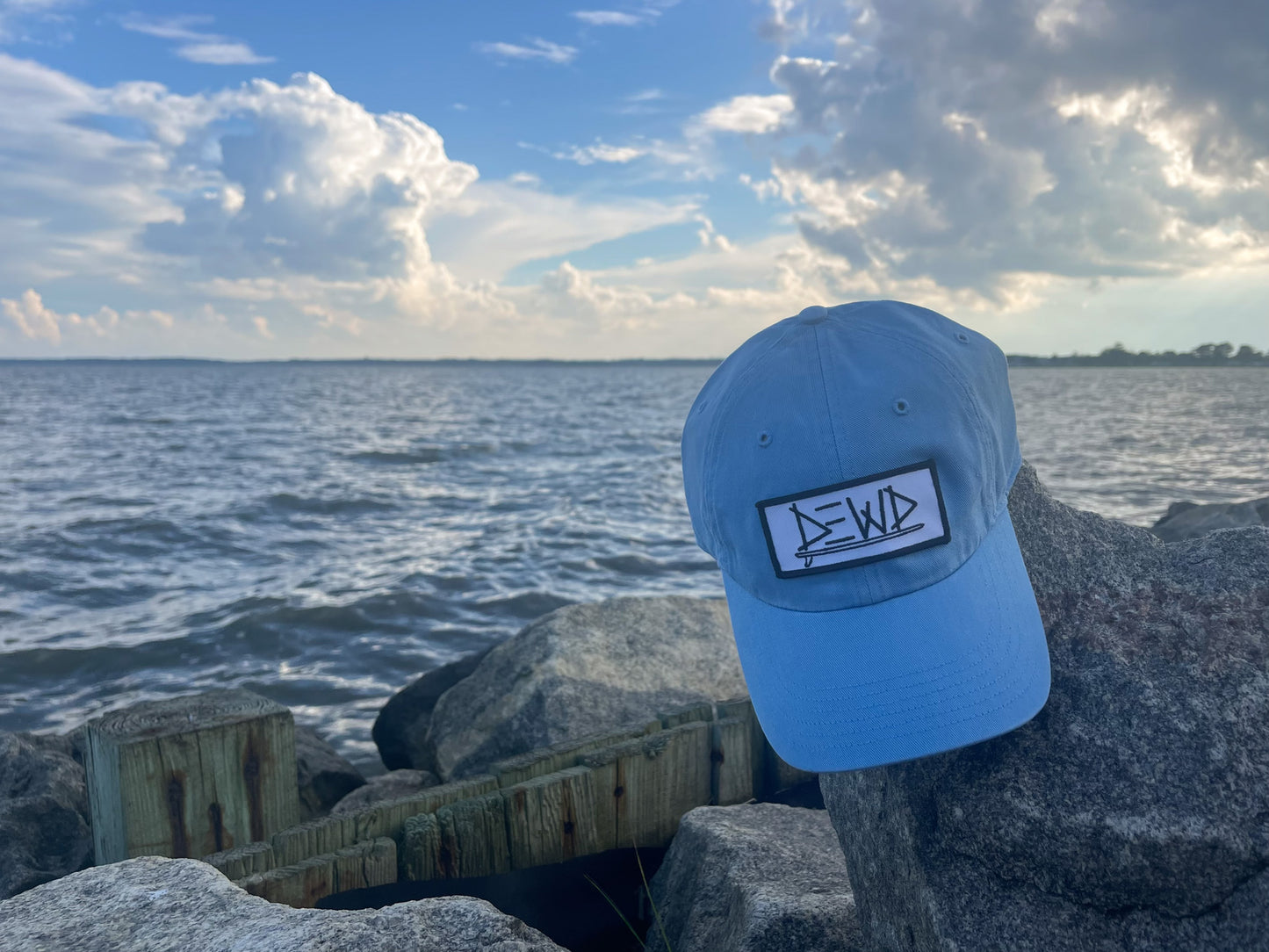 Dewd Surf Dad Hat