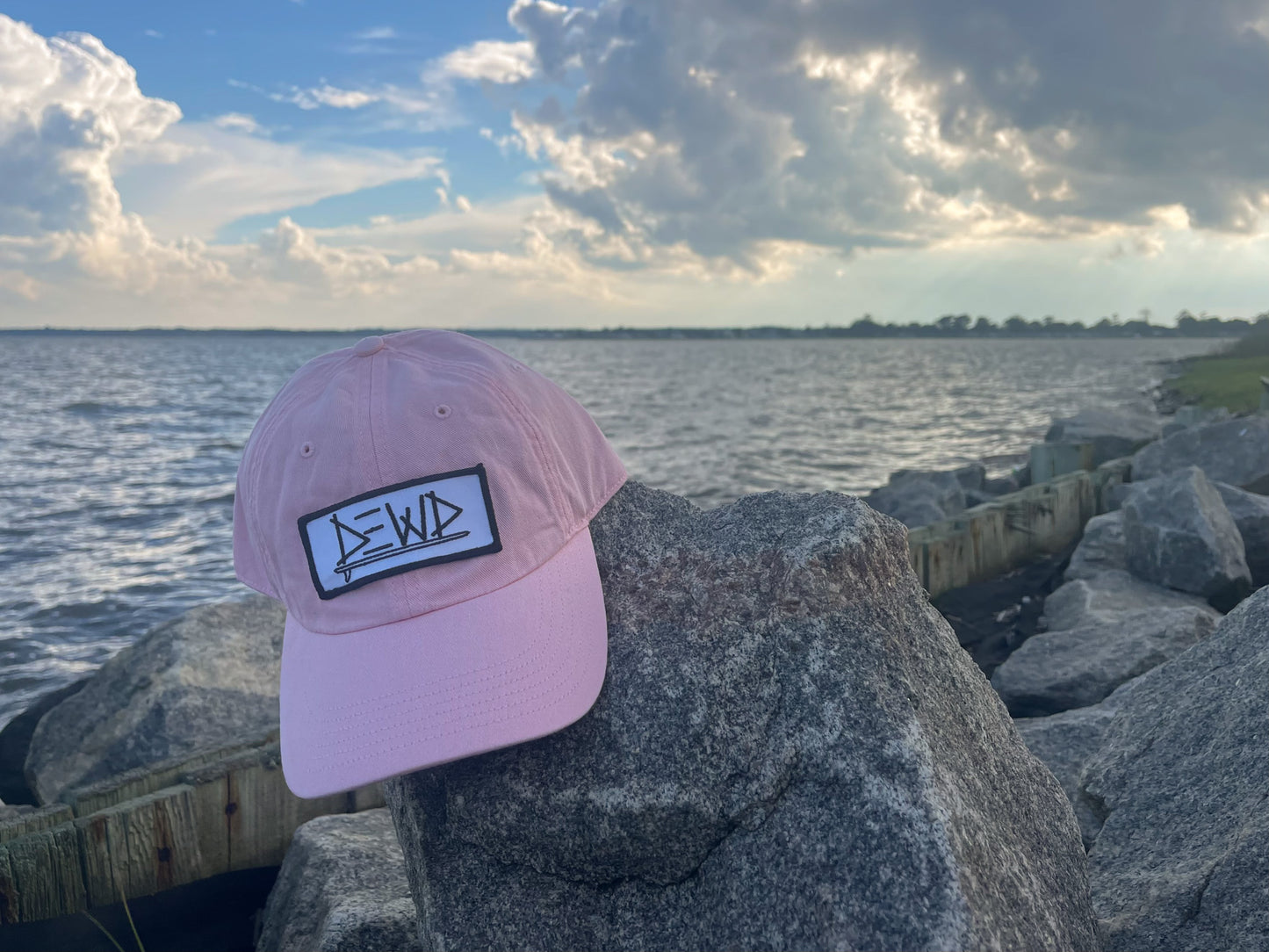 Dewd Surf Dad Hat